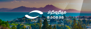 Cession de Baobab Tunisie au Groupe El Hayadek